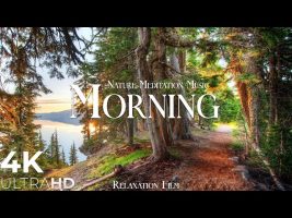 Morning Nature – Relaxation Film – Peaceful Relaxing Music – 4k Video UltraHD