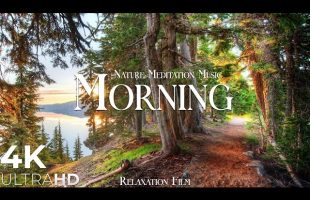 Morning Nature – Relaxation Film – Peaceful Relaxing Music – 4k Video UltraHD