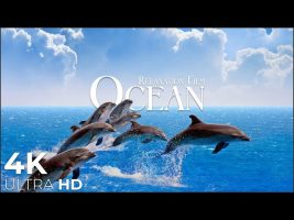 The Ocean 4K – Relaxation Film – Peaceful Relaxing Music – 4k Video UltraHD