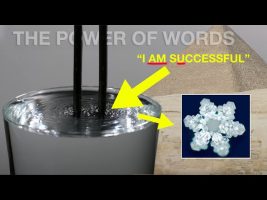 “Your Words Are The Most Powerful Force in The Universe” | USE IT WISELY!