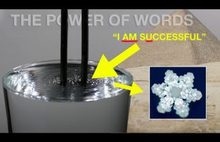 “Your Words Are The Most Powerful Force in The Universe” | USE IT WISELY!