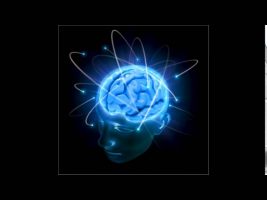 Terence Mckenna Rimshots 059   We Must Change Our Minds
