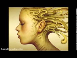 Terence Mckenna Rimshots 084   Reality Hacking