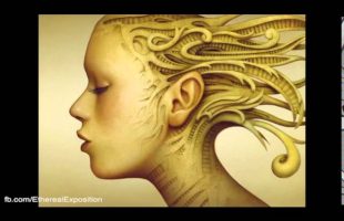 Terence Mckenna Rimshots 084   Reality Hacking