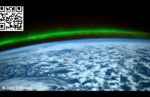 Terence Mckenna (Rimshots) 49 – Just Shaking the Leaves from our hair