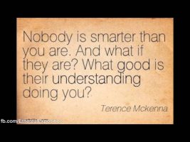 Terence Mckenna (Rimshots) 042 – Ideas Don’t Cut the Mustard; It has to be Experienced
