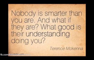 Terence Mckenna (Rimshots) 042 – Ideas Don’t Cut the Mustard; It has to be Experienced