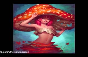 Terence Mckenna (Rimshots) 048 – Jewish Mushroom Persona