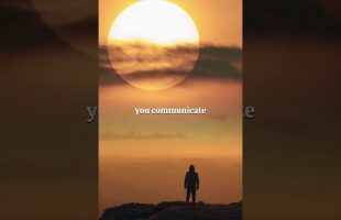 Alan Watts – You are not separate – Intelligent Mindlessness
