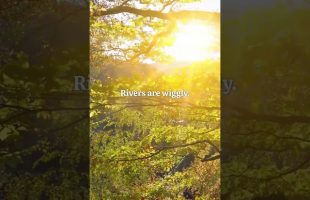 Alan Watts – Nature is Wiggly – Intelligent Mindlessness