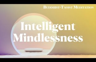 Alan Watts | Buddhist-Taoist Meditation | Intelligent Mindlessness (Preview)