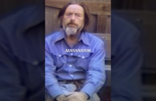 Alan Watts – The Real Secret to Life – Work as Play