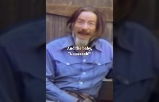 Alan Watts – Screaming or Crying – Work as Play