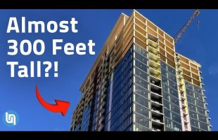 How We Engineered Incredible Wooden Buildings