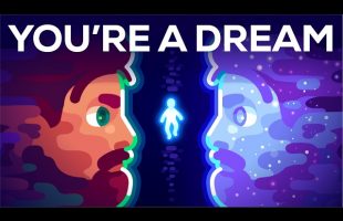 Are You A Dream Of The Universe?