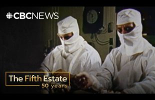 Pig in a Poke (1976) | The Fifth Estate