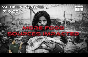 Monkey Minute 7.10.22 – More Food Sources Impacted!