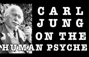 Carl Jung on the Human Psyche: Biological Roots, Cultural Narratives & Archetypal Structures