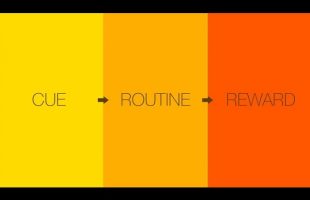 How to Create a Habit that Sticks – The Habit Loop