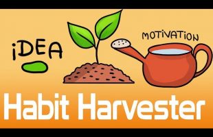 Habit Harvester – Why Habits are Important + Motivation vs Discipline