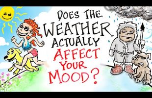 Does The Weather Actually Affect Your Mood?
