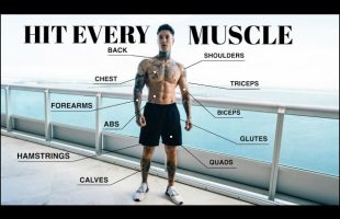 Complete 15 Min Full Body Workout | Dumbbells Only