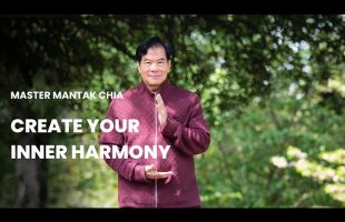 Create Your Inner Harmony. Taoist Fundamentals. Inner Smile.