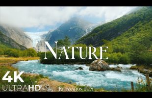 Nature Relaxation Film 4K – Peaceful Relaxing Music – Nature 4k Video UltraHD