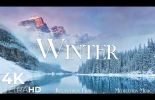 Winter • 4K Nature Relaxation Film • Peaceful Relaxing Music • Video Ultra HD