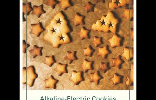 Alkaline-Electric Xmas Cookies
