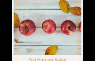 Fall Harvest Salad