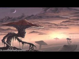 Terence Mckenna (Rimshots) 037 – Hoffman Claims “There’s somebody in there”