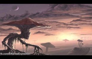 Terence Mckenna (Rimshots) 037 – Hoffman Claims “There’s somebody in there”
