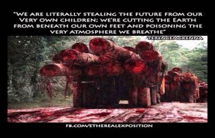 Terence Mckenna (Rimshots) 035 – Historical Temper Tantrum