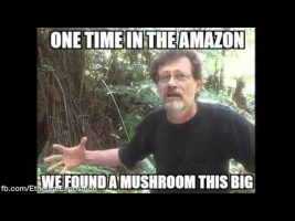 Terence Mckenna (Rimshots) 032 – Haunted House