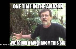 Terence Mckenna (Rimshots) 032 – Haunted House