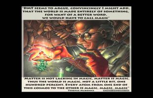 Terence Mckenna (rimshots) 017 – DMT is more Magic than Drug