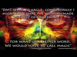 Terence Mckenna (Rimshots) 016 – DMT is a Miracle