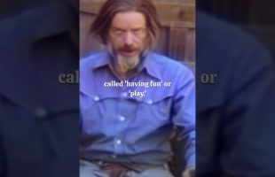 Alan Watts – A rigid division – Work as Play
