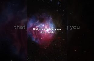 Alan Watts – Zen Bones pt 7