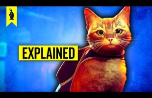 The Hidden Meaning of Stray