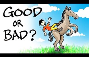 It is Impossible to Tell If Anything is Good or Bad – Alan Watts