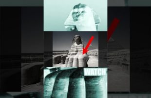Egypt’s Sphinx is a Griffin?  #history #TARTARIA #MUDFLOOD  #oldworld #SPHINX #EGYPT
