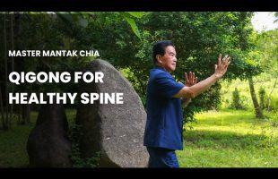 Qigong for Healthy Spine. Take care of your Spinal Cord with Master Mantak Chia☯️