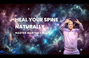 Heal Your Spine Naturally. Qigong for Healthy Spine. Spinal Cord.