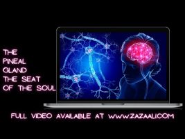 ZaZa Ali: The Pineal Gland – The Seat of the Soul
