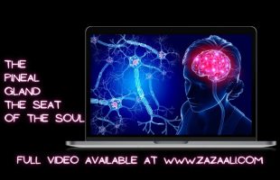 ZaZa Ali: The Pineal Gland – The Seat of the Soul