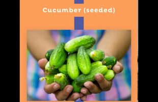 September Seasonal Produce
