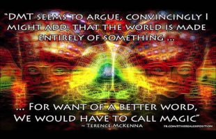 Terence Mckenna (Rimshots) 016 – DMT is a Miracle