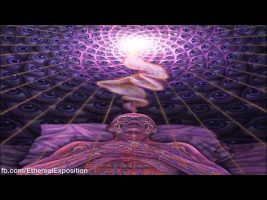 Terewnce MCkenna (Rimshots) 015 – Die With Understanding